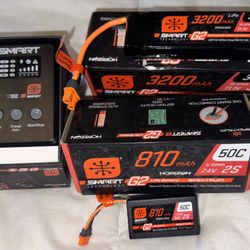 Spektrum Smart Charger and Batteries