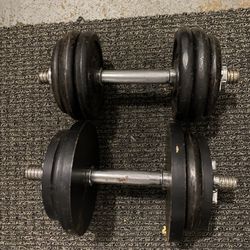 Weights 