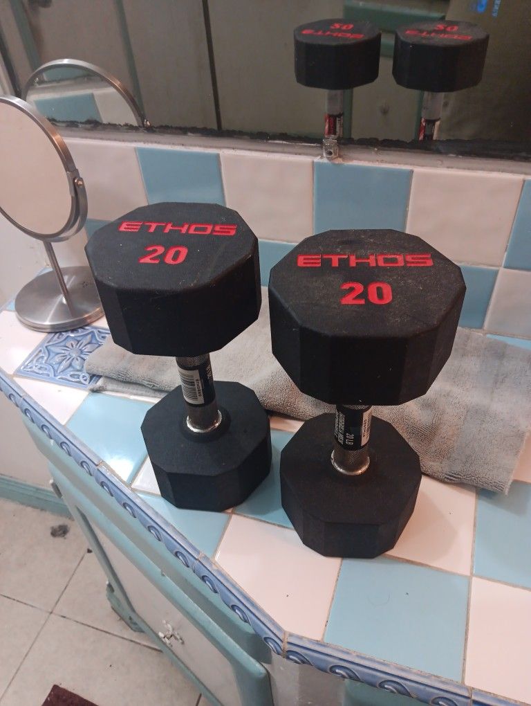 20 Lb Dumbbells