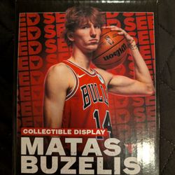 NBA Chicago Bulls Matas Buzelis collectable jersey basketball rookie card rare