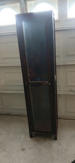 Curio Cabinet Shelf Display