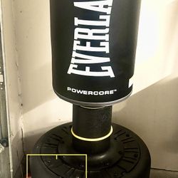 Everlast Powercore Free Standing Indoor Rounded Heavy Duty Fitness Training Bag