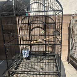 Bird Cage