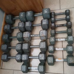 Weights And Bench