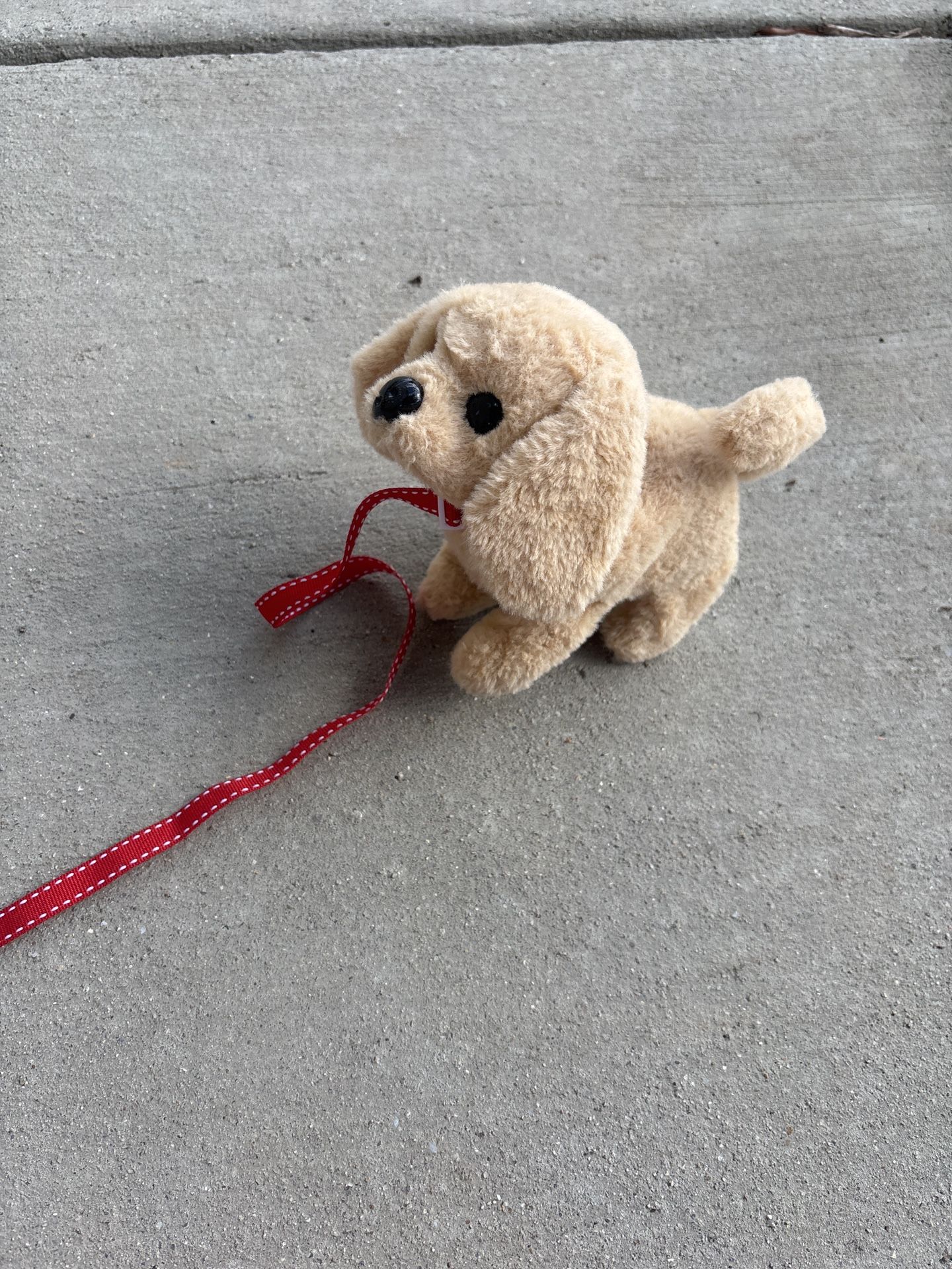Free Dog Toy