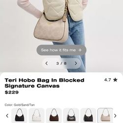 Teri Hobo Bag 