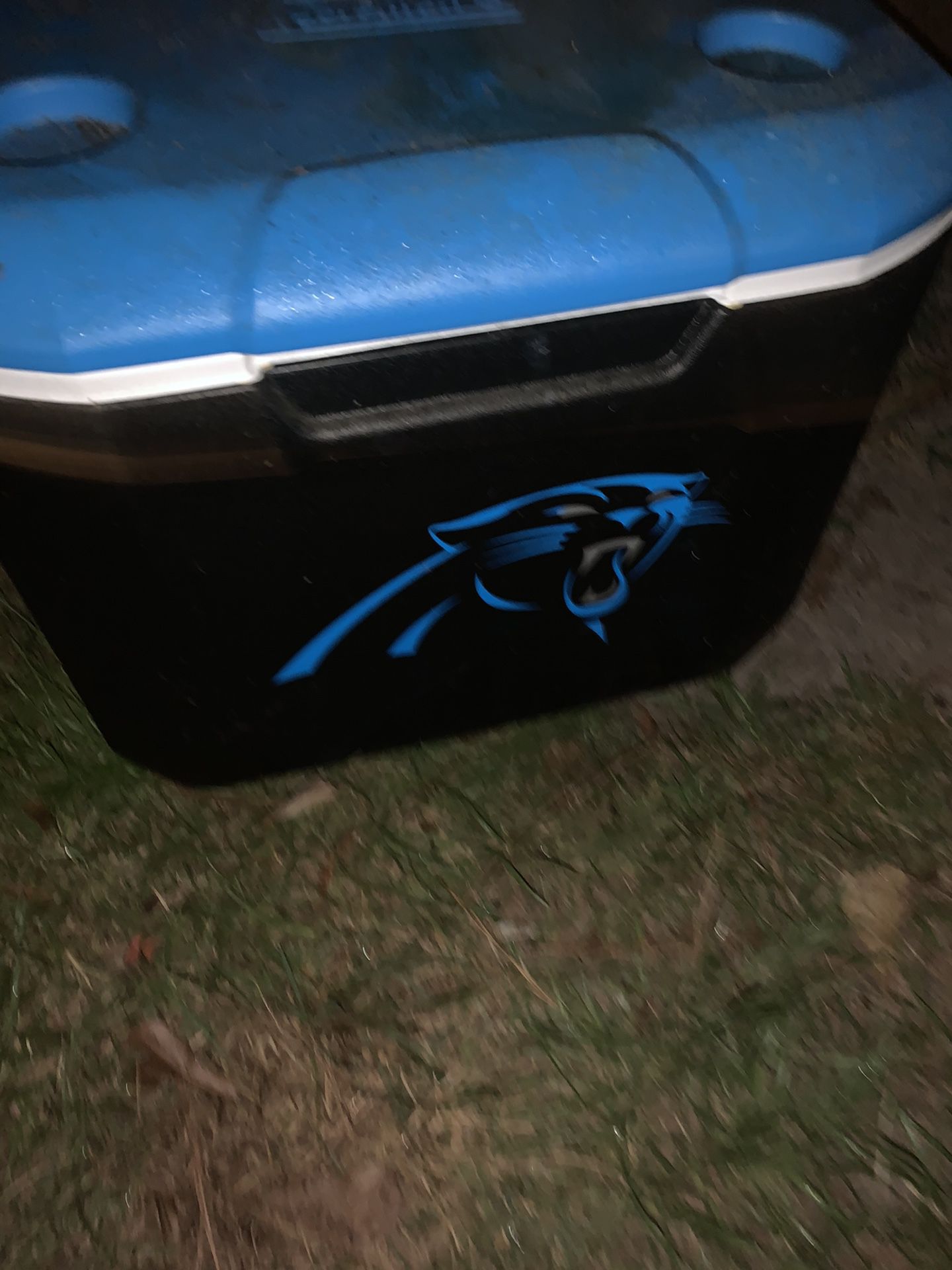 Panthers cooler by