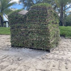 Saint Augustine $165