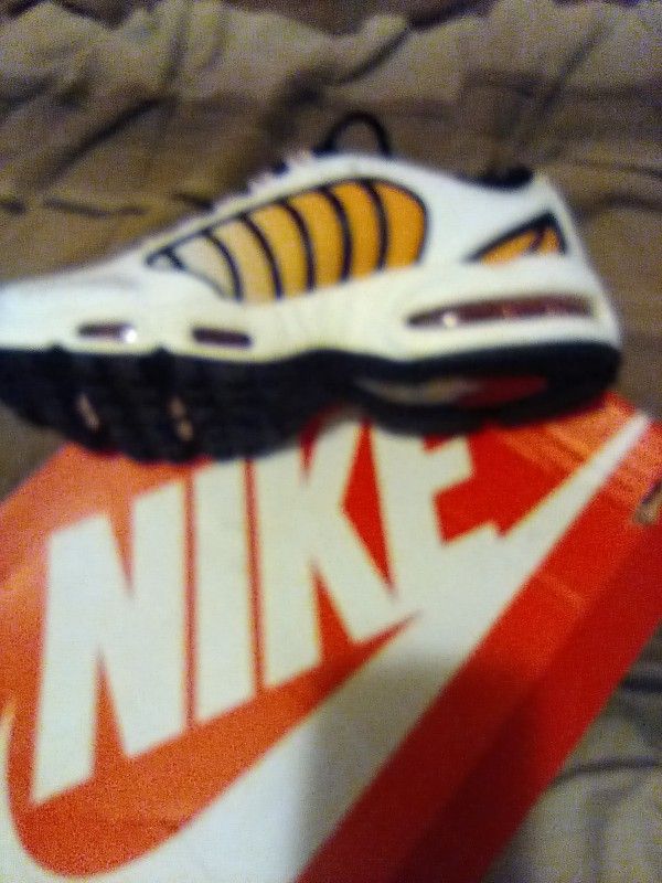 Nikes 8.5