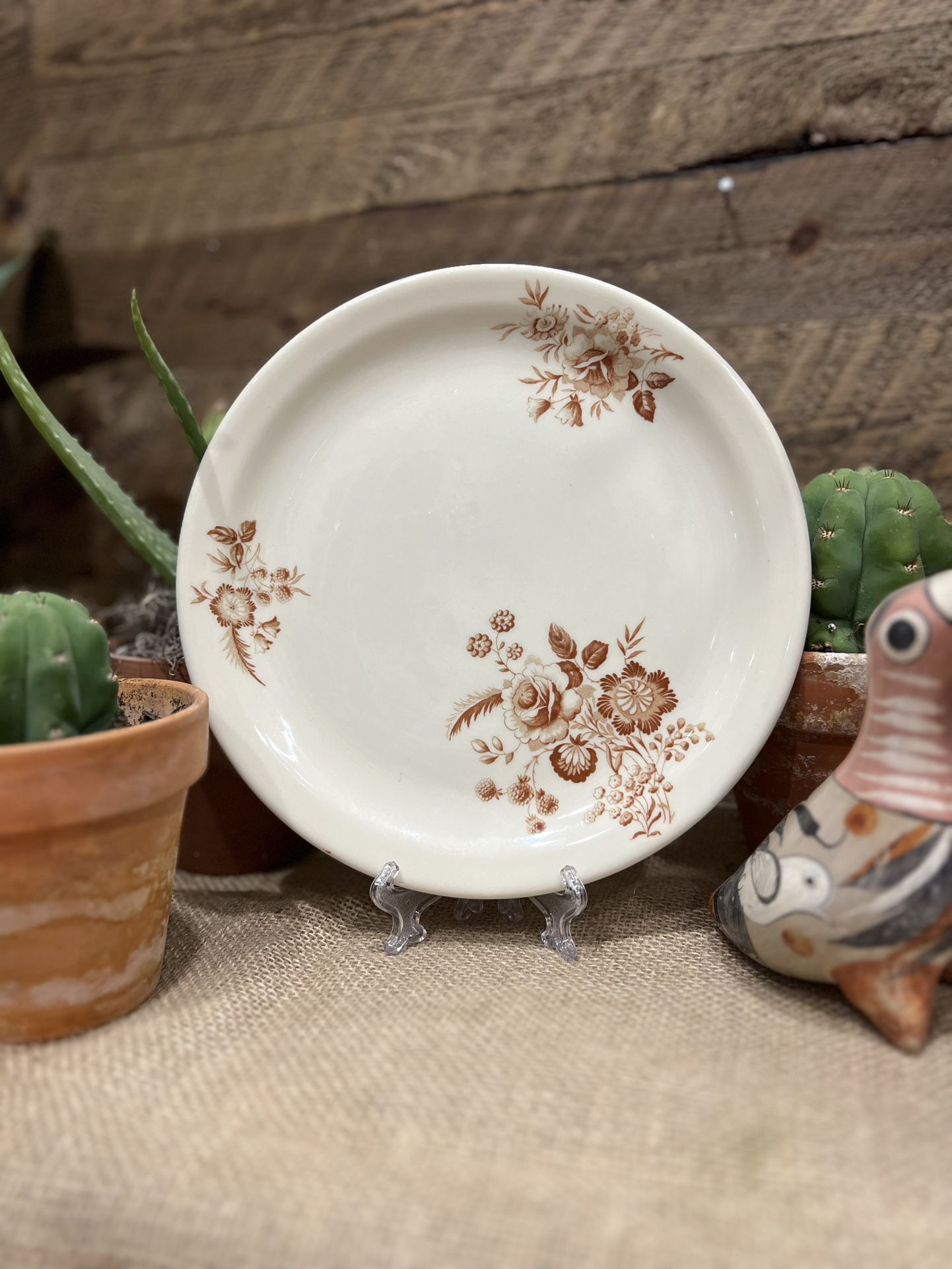 Vintage Boho Ivory Shenango China Cabbage Rose Sepia Floral Plate Decor Cottage Farmhouse Shabby USA