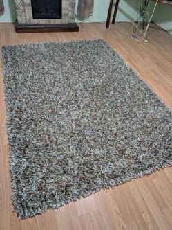 2 Big Area Rugs