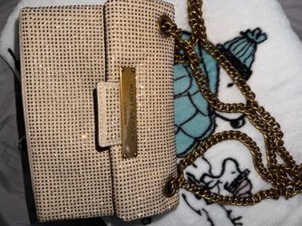 Kurt Geiger bag