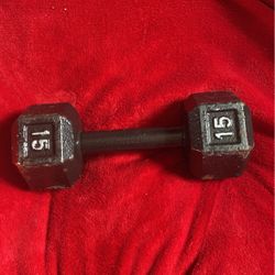 15 Pounds Dumbbell