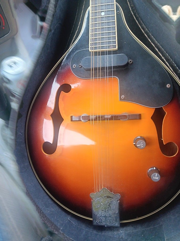 Fender Mandolin Electric