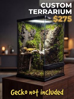 Custom Bioactive Reptile Terrarium