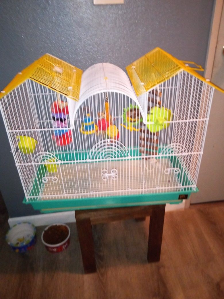 Bird Cage