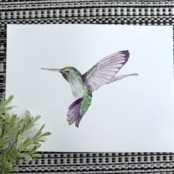 Hummingbird