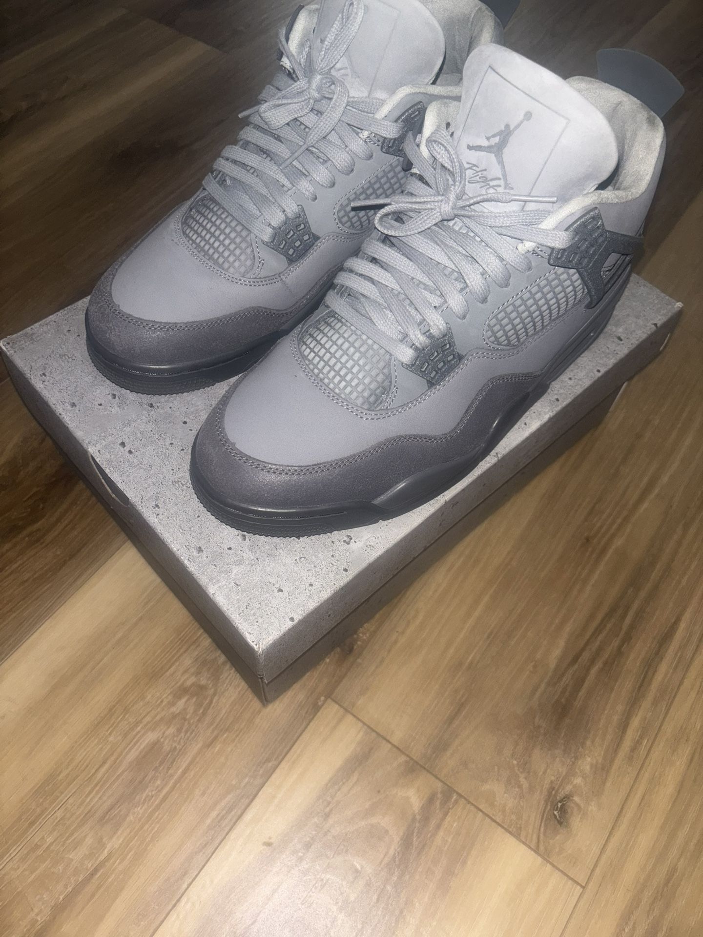 Air Jordan Retro 4s Wet 