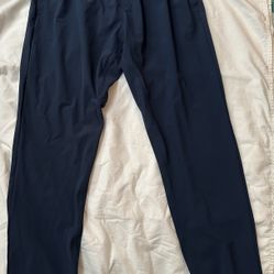 Gym shark Training Jogger $15