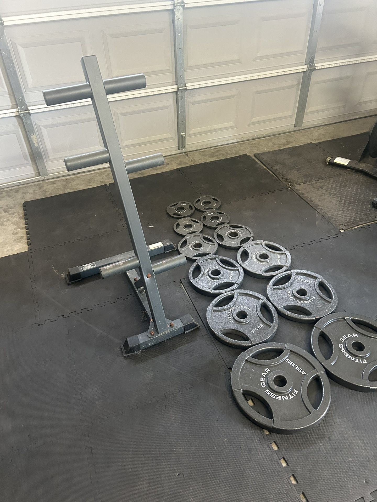 Weight plates and weight rack 250 OBO