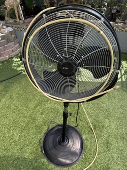 Fan