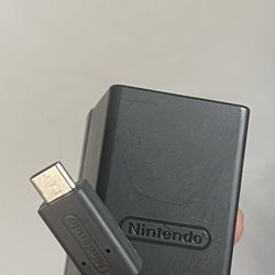 Nintendo Switch Charger 