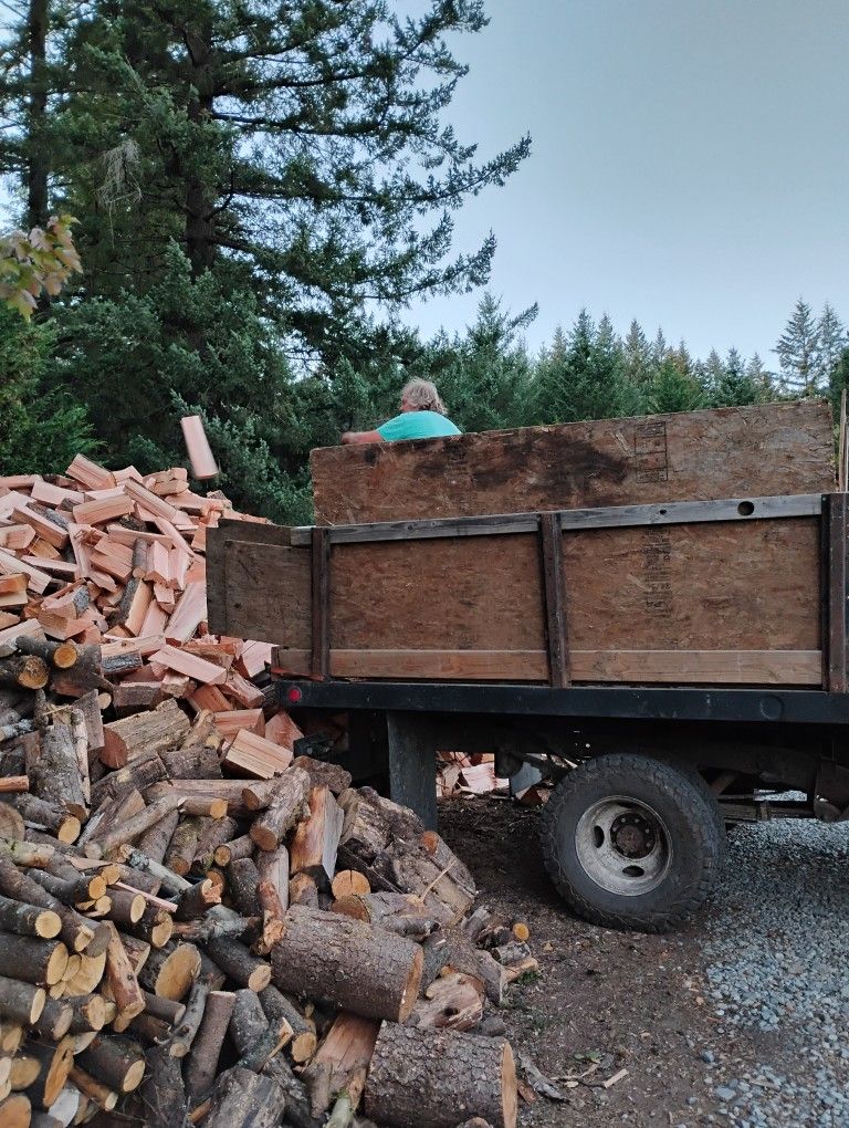 Firewood