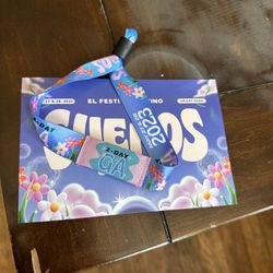 2 Day Sueños Wristband
