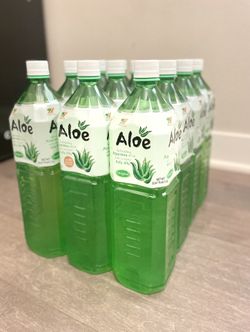 real aloe vera Real Aloe Vera Plant: Easy Succulent to Grow  (3.5 Pot)  Drought  Tolerant Succulents  Low-Maintenance Plant Care  Houseplant or Outdoor  Plant 