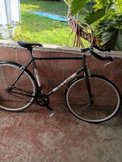 STEEL IS REAL..  Chromoly Steel Single-speed Bicycle