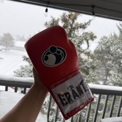 Grant Boxing Gloves 