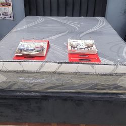 Queen Size Bed With Matress 