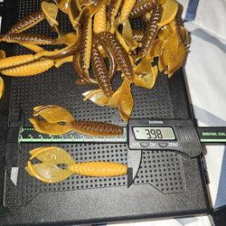 Fishing Bass Plastics 