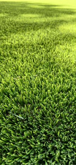 Turf Oasis 85 UF.