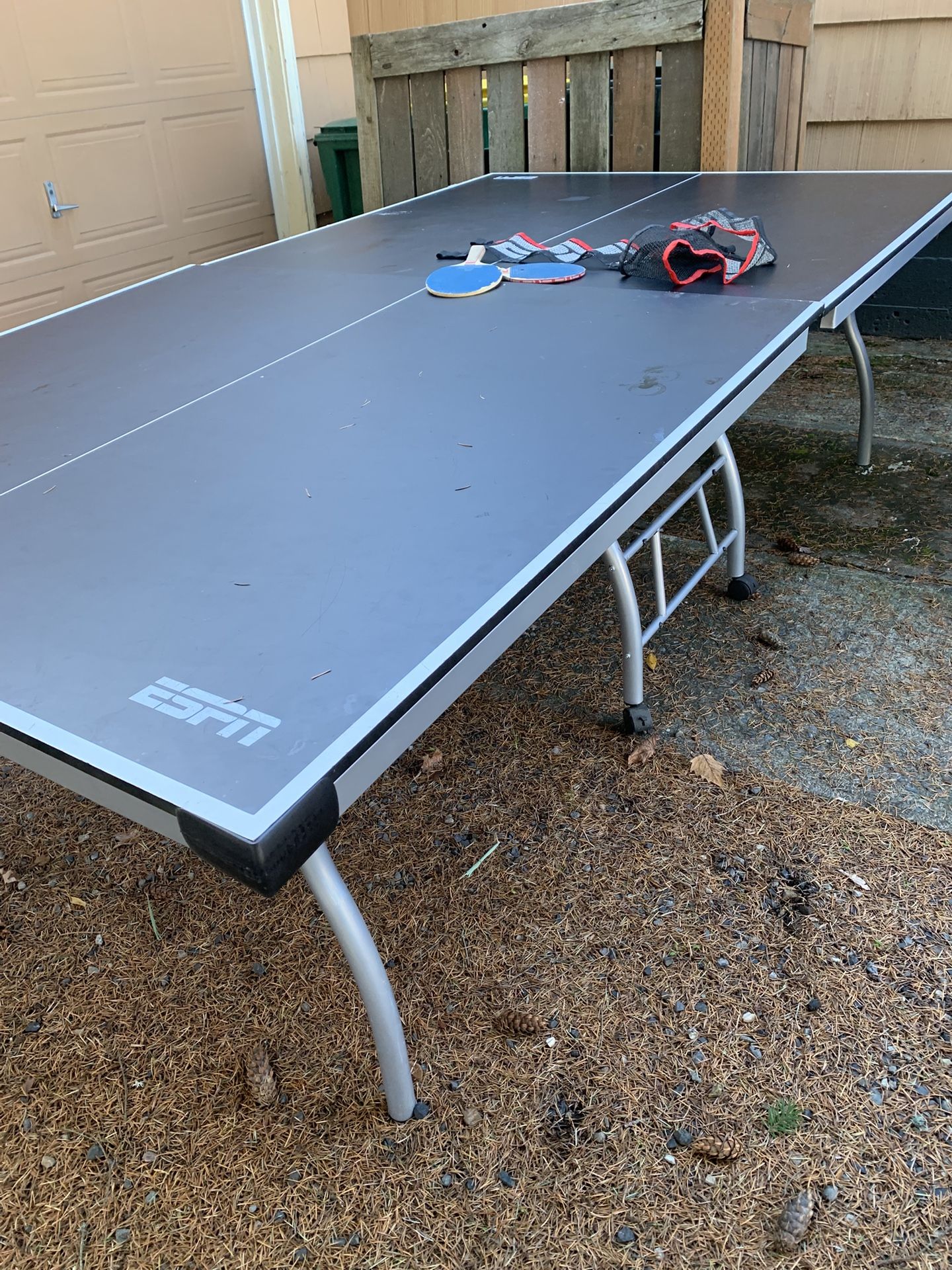 Ping Pong Table