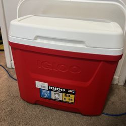 Igloo Cooler