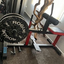 Seated Calf