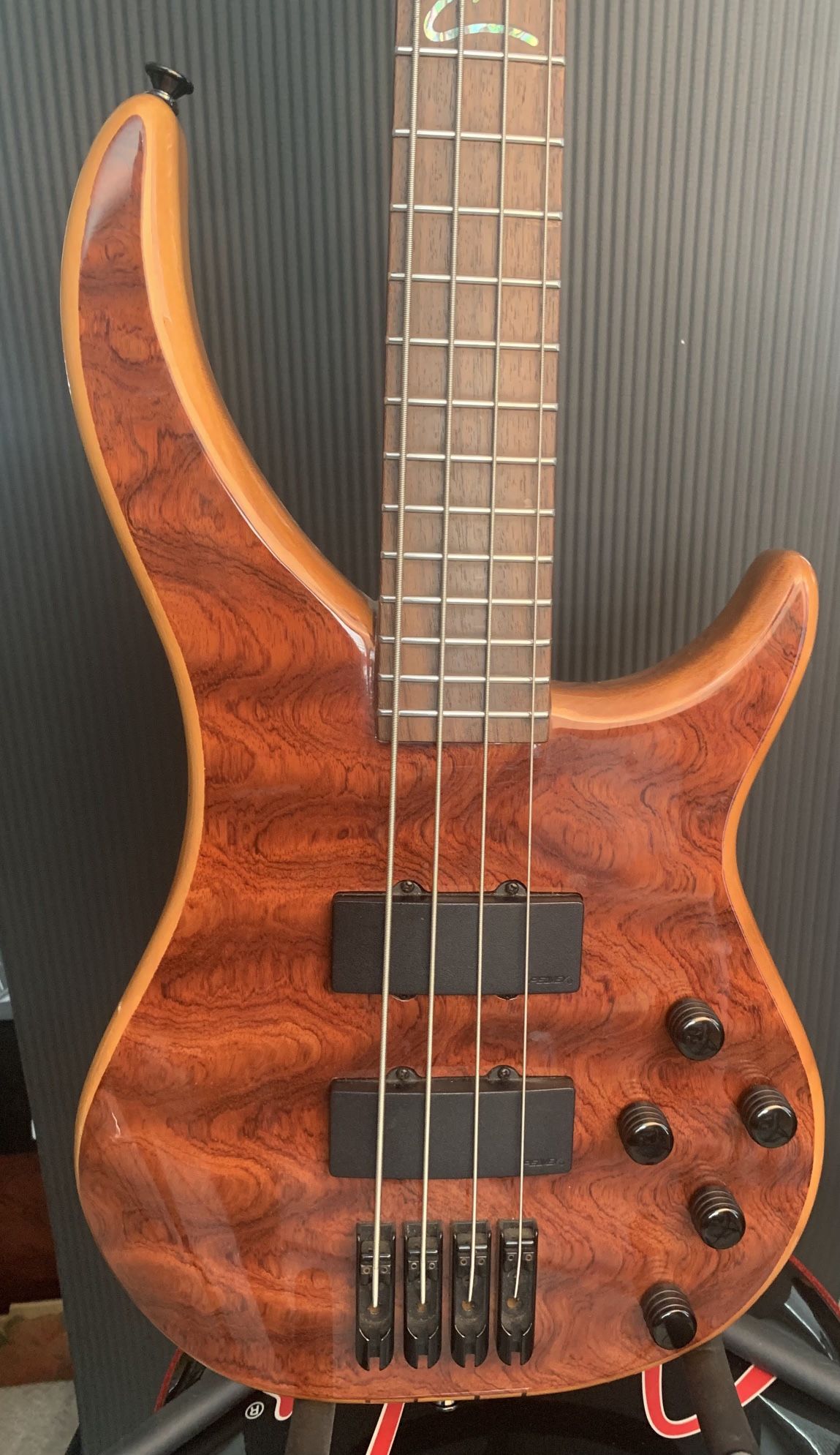 Peavey Cirrus BXP Bass Guitar