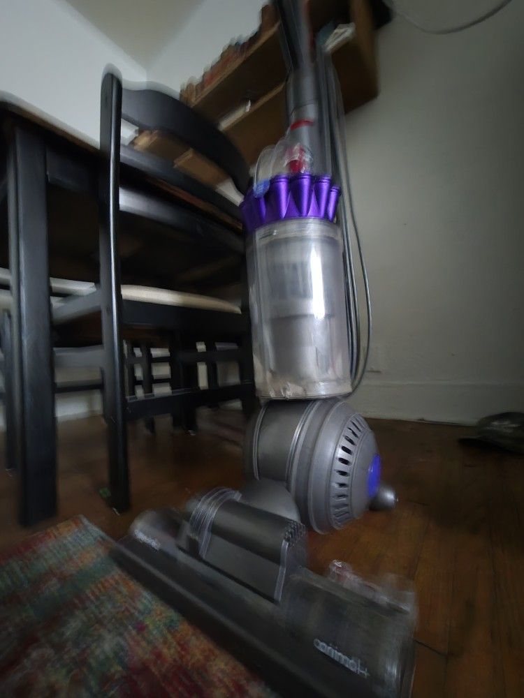 Dyson Vacuum CORDED Animal 3