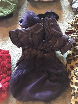 Small Female Dog Clothing New/Used Thumbnail