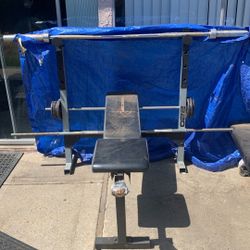 Weight Benches And Curl Bench 