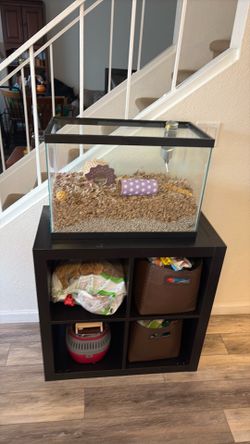 20 Gallon Tall Aquarium with Hamsters Supplies and hamster