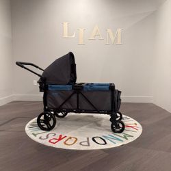 Stroller Wagon 