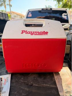16quart igloo playmate cooler