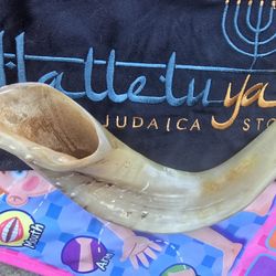 SHOFAR TRUMPET  Best Offer