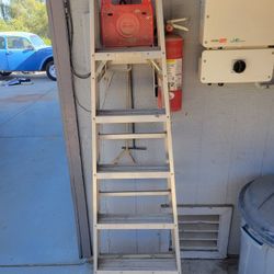 6 FT Ladder
