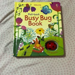 Usbourne Busy Bug Book