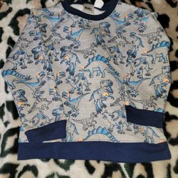 Toddler Boys 5/6 Dinosaur Sweatshirt Multicolored