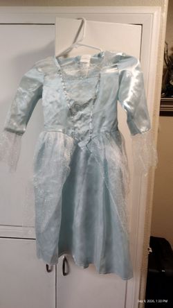 Halloween Disney Fairy Godmother costume