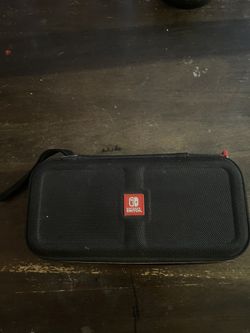 Nintendo Case 